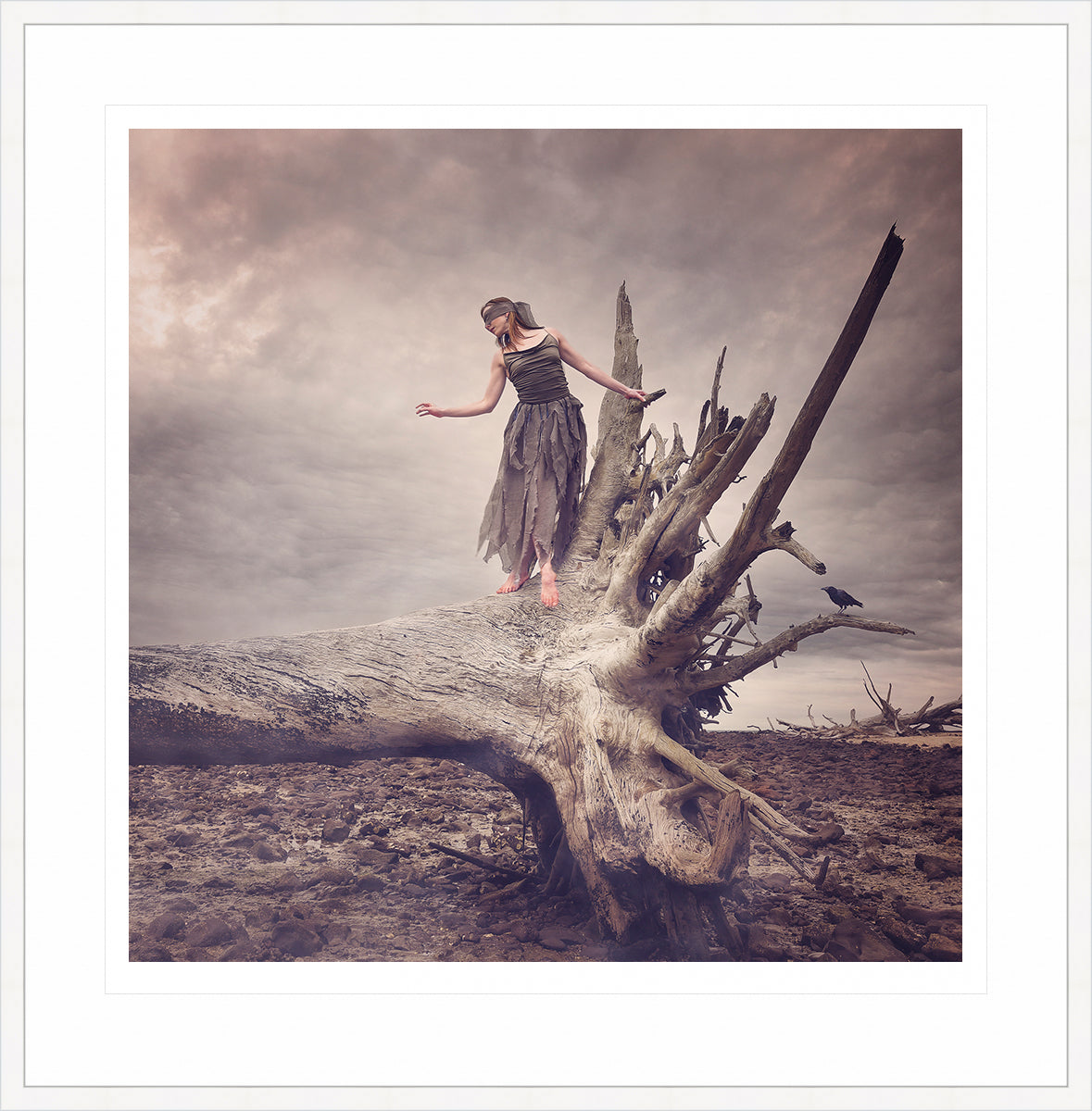 Driftwood - Promise