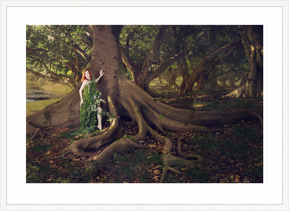 Woodland Watchers - Rootbound