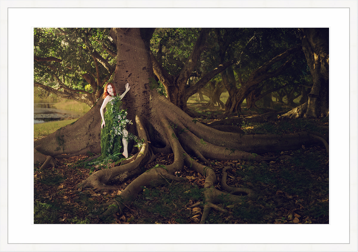 Woodland Watchers - Rootbound