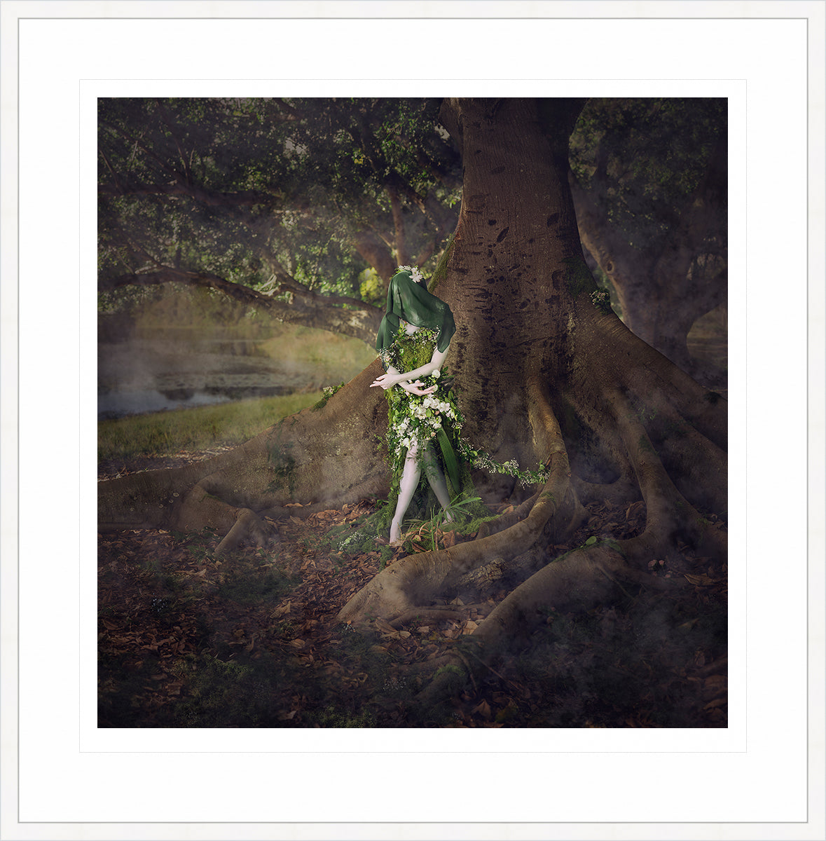 Woodland Watchers - Emergence