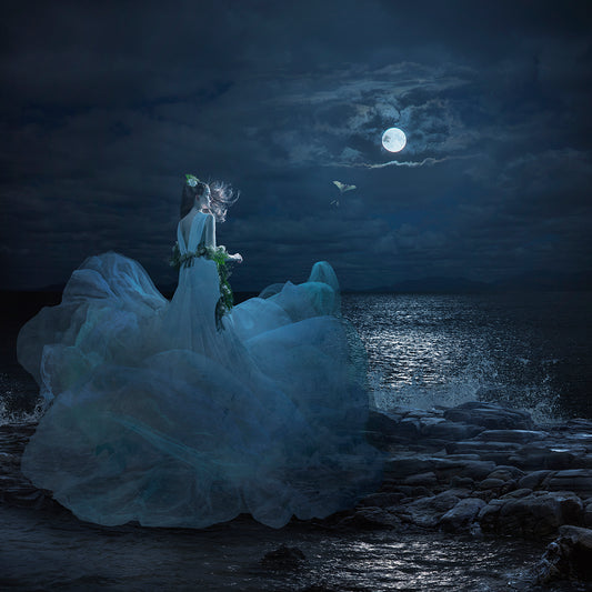 Moonlight Whisper