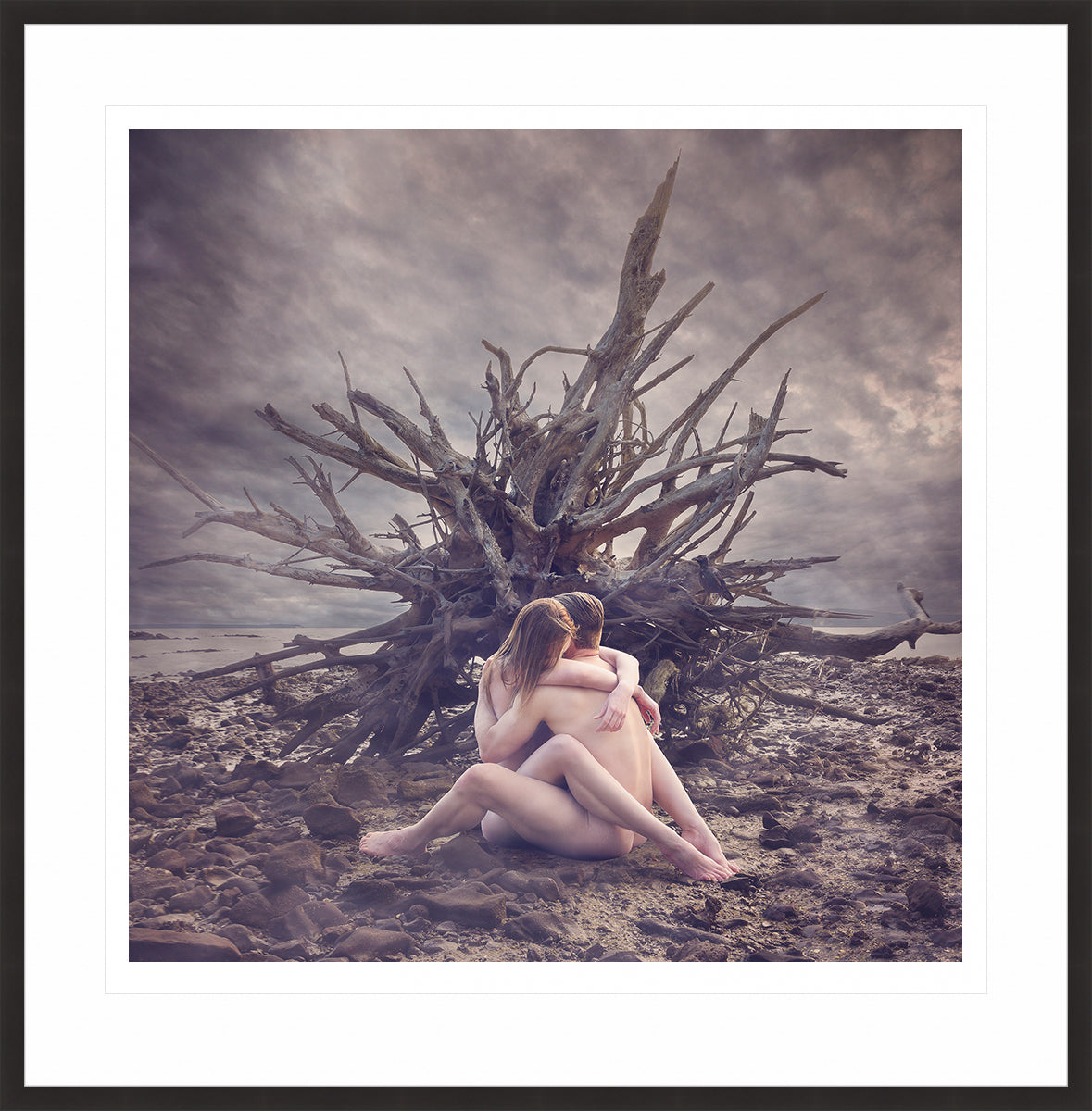 Driftwood - Cherish