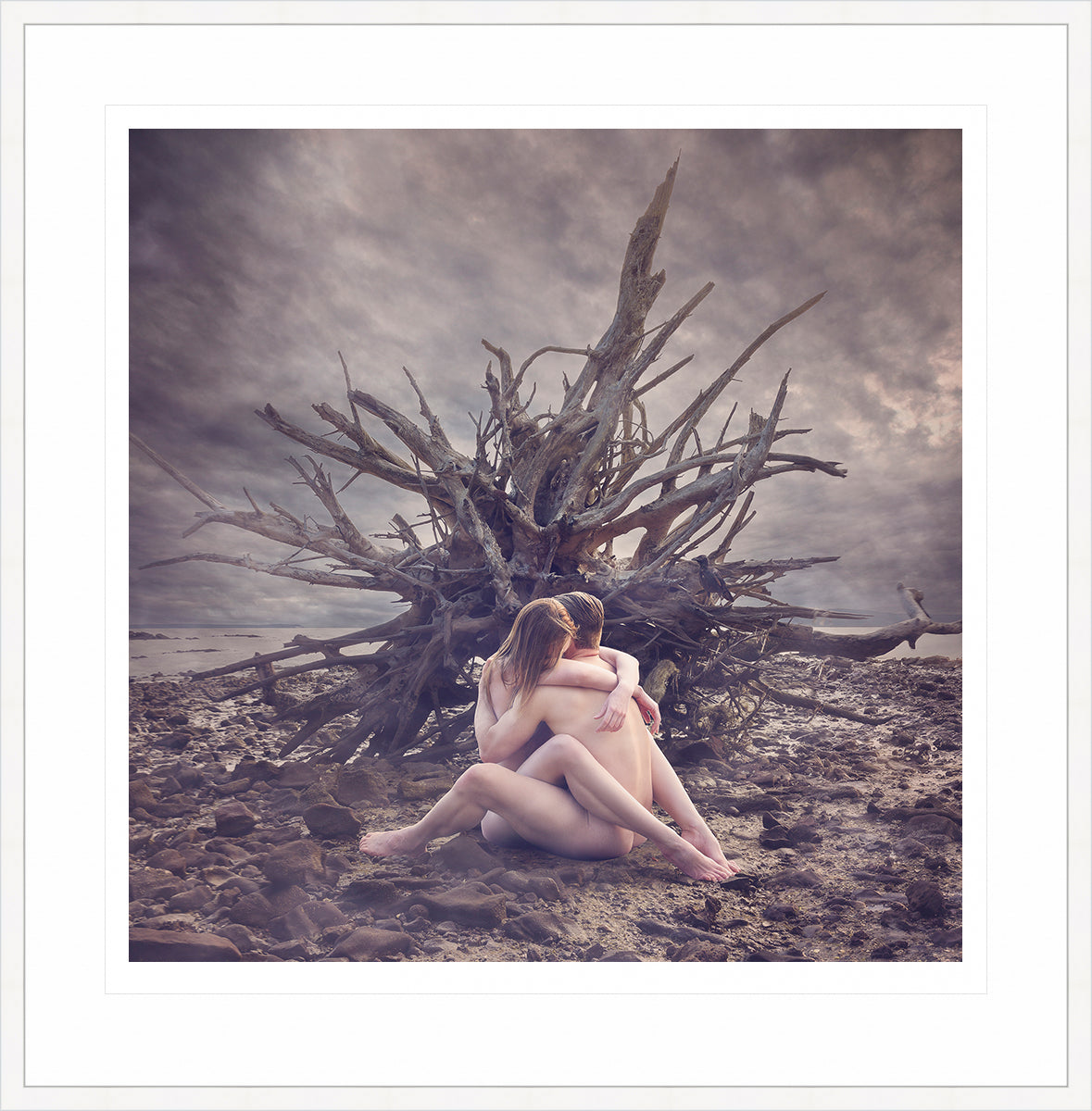 Driftwood - Cherish