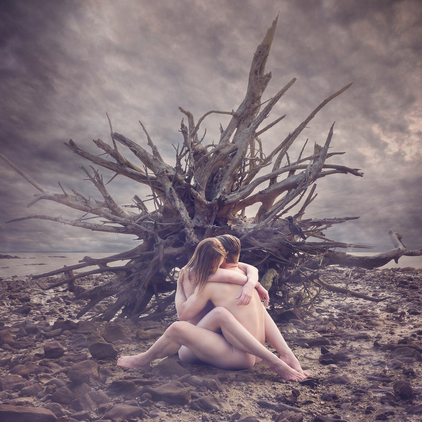 Driftwood - Cherish