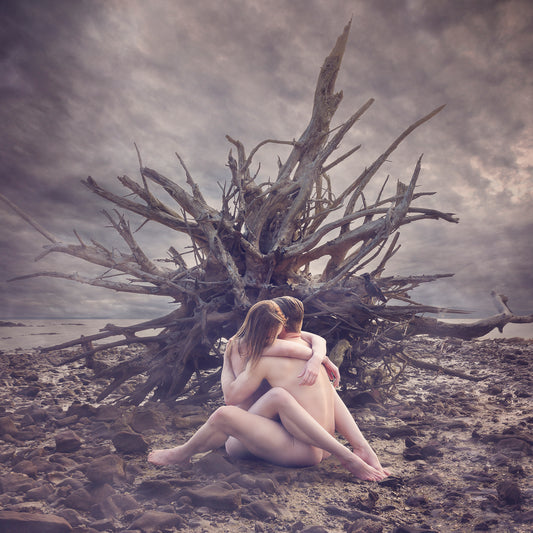 Driftwood - Cherish