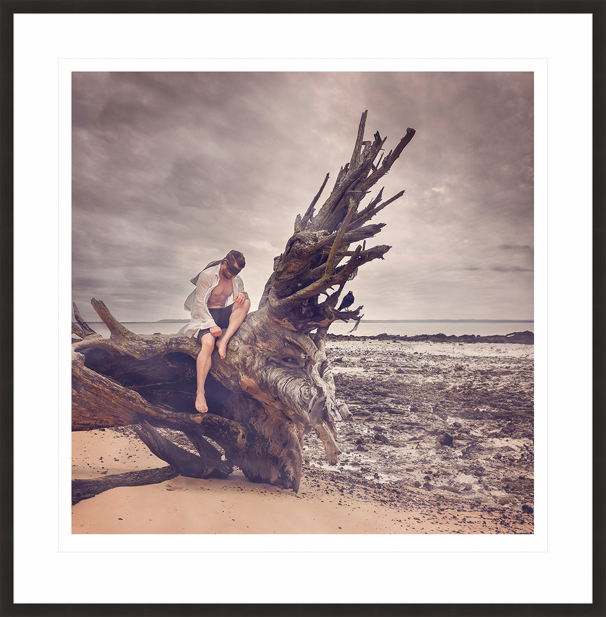 Driftwood - Hope