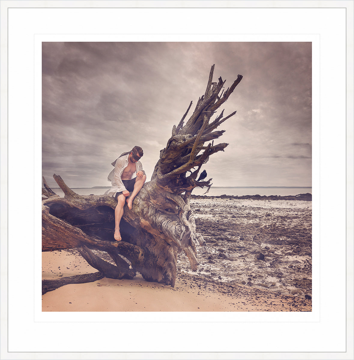 Driftwood - Hope