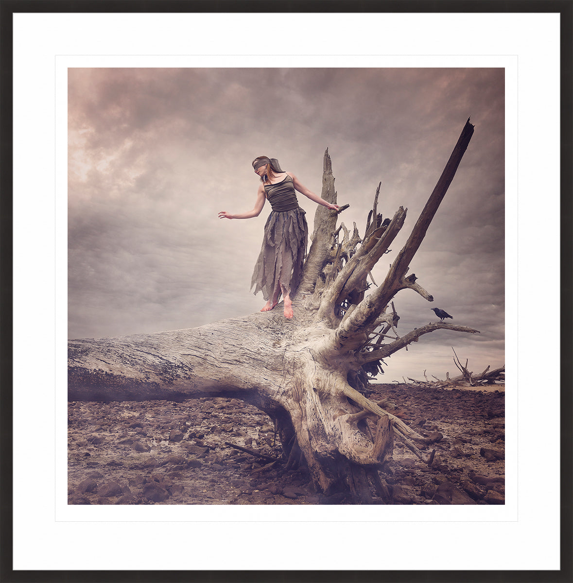 Driftwood - Promise