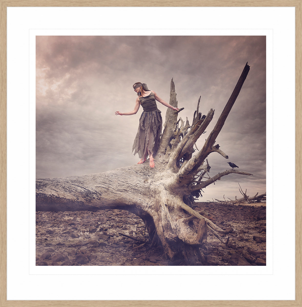 Driftwood - Promise