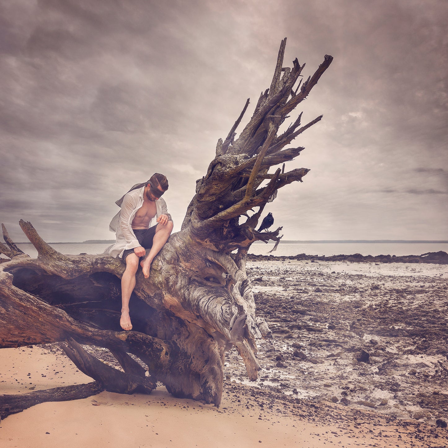 Driftwood - Hope