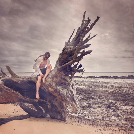 Driftwood - Hope