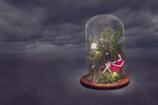 Haven