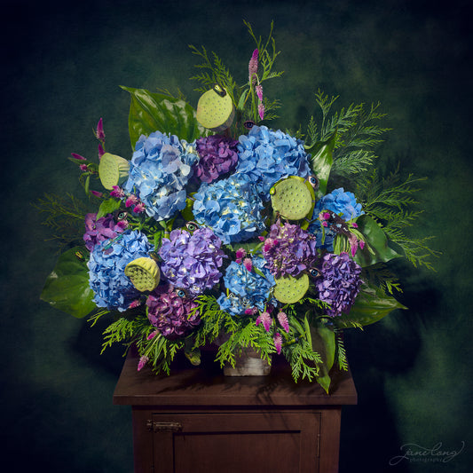 Lush - Wild Hydrangea