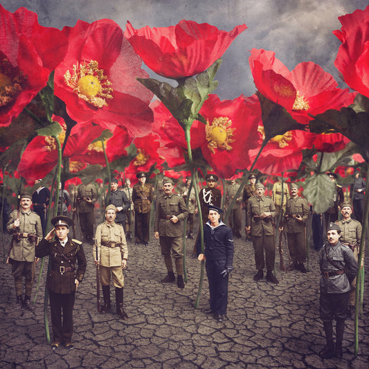 Tall Poppies