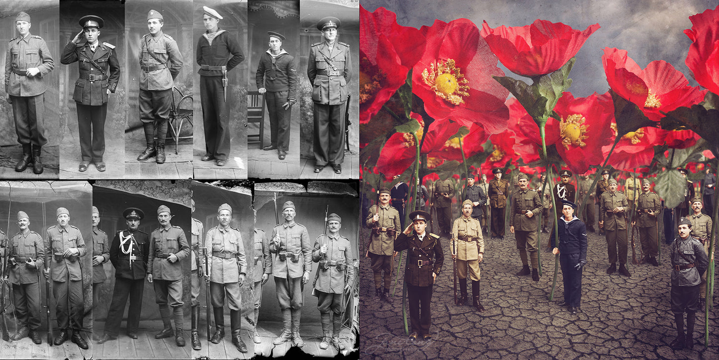 Tall Poppies