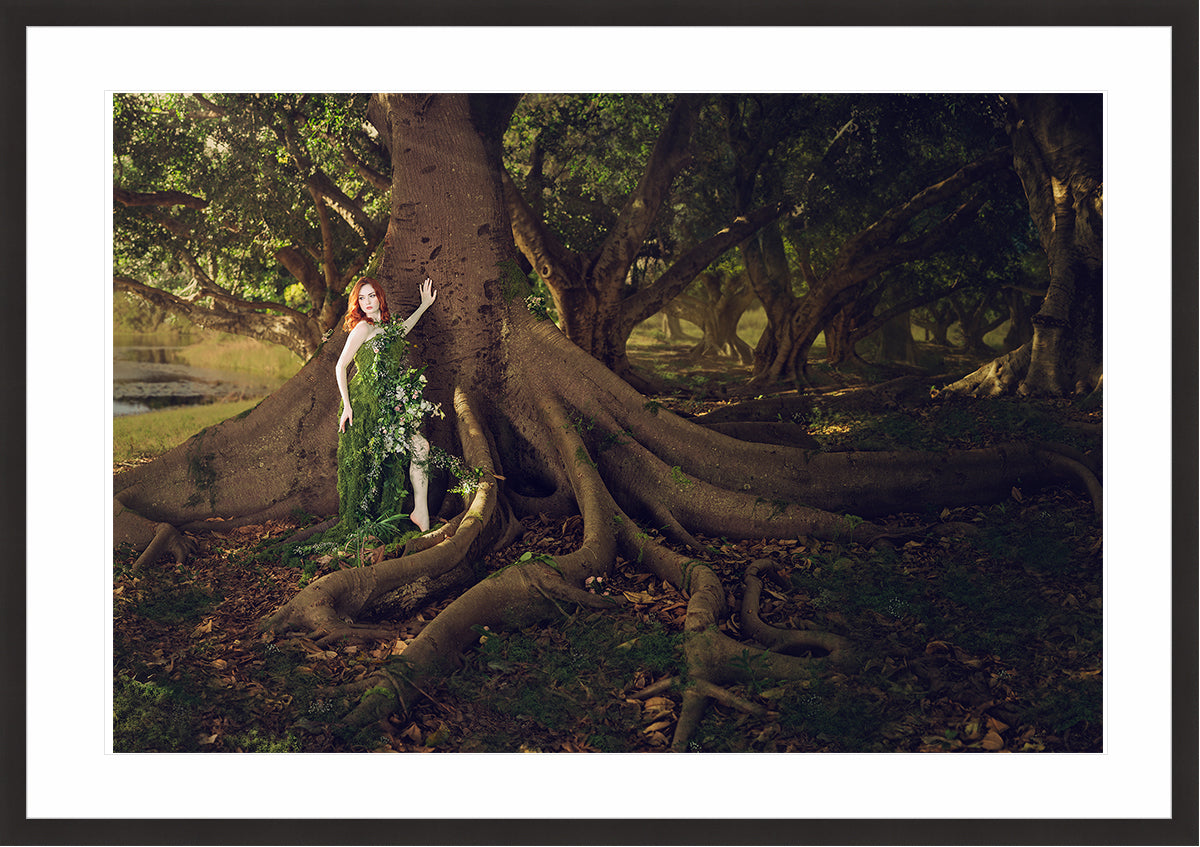 Woodland Watchers - Rootbound