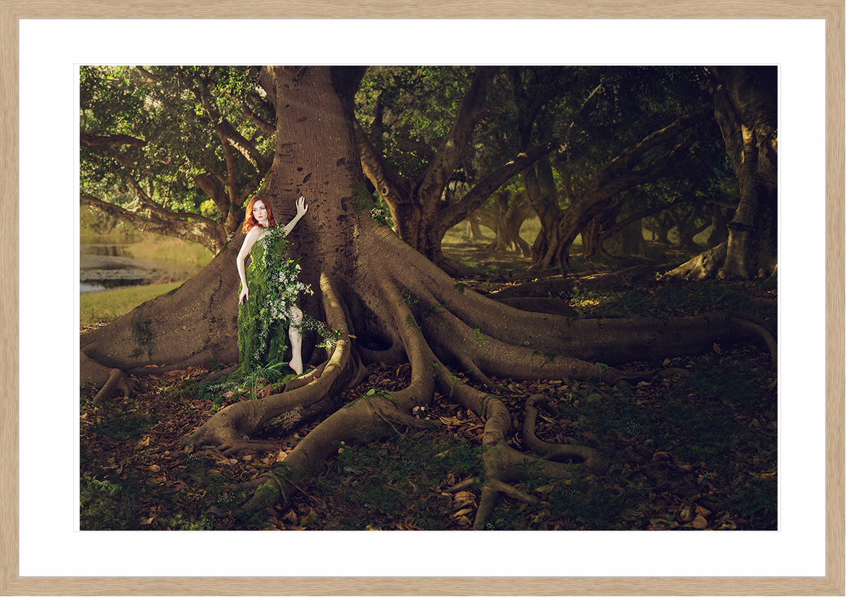 Woodland Watchers - Rootbound