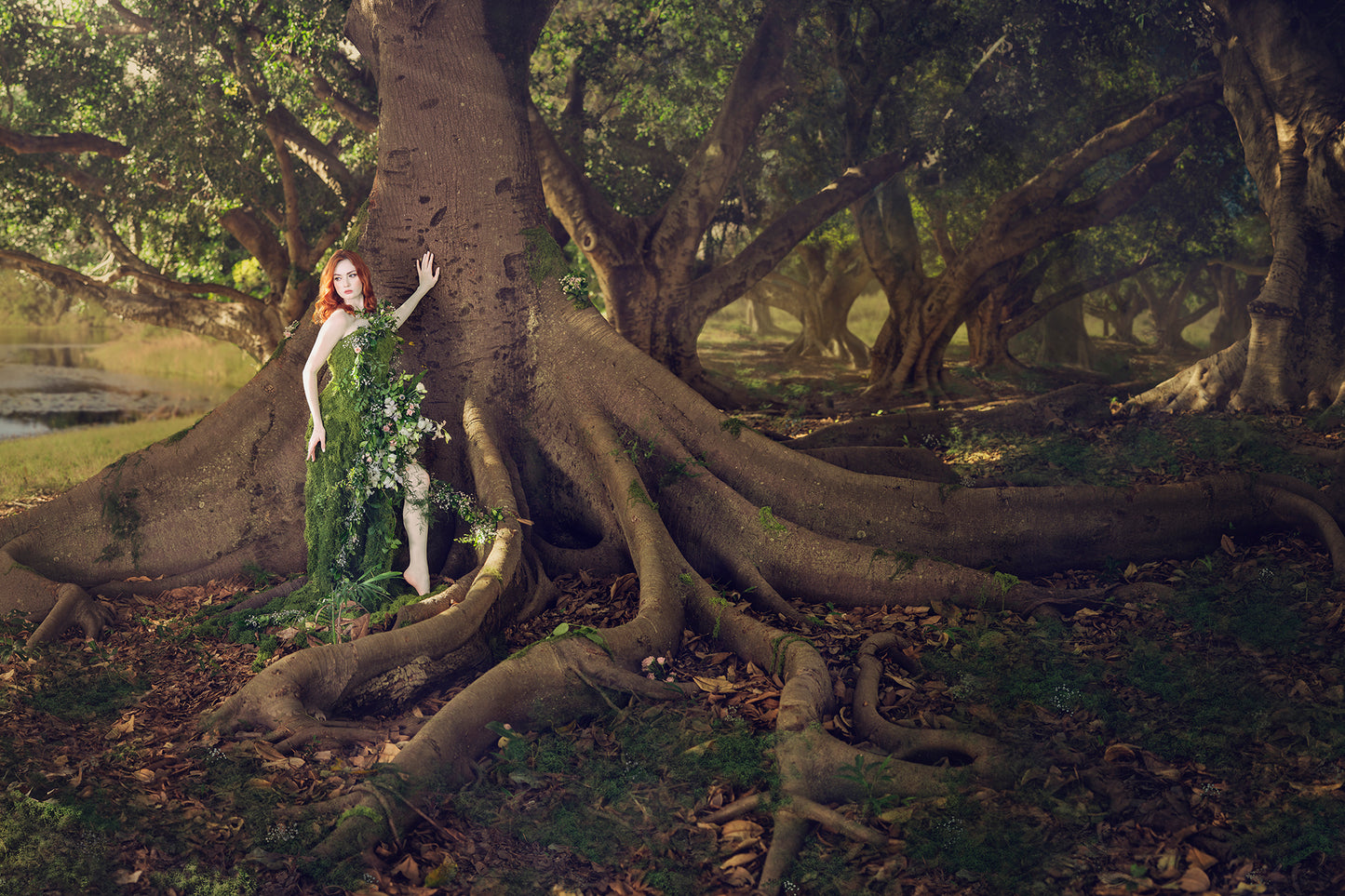 Woodland Watchers - Rootbound