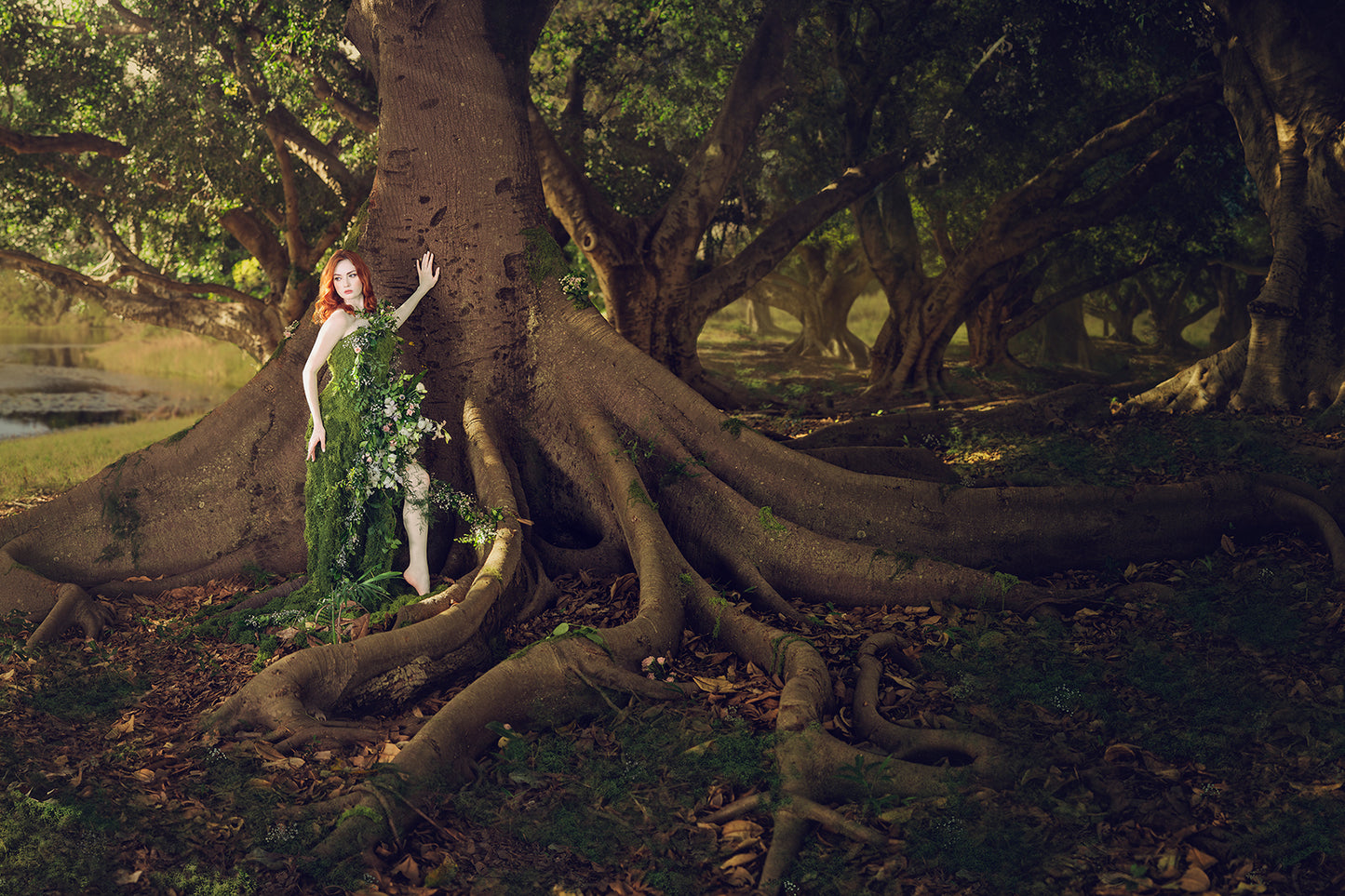 Woodland Watchers - Rootbound