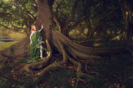 Woodland Watchers - Rootbound