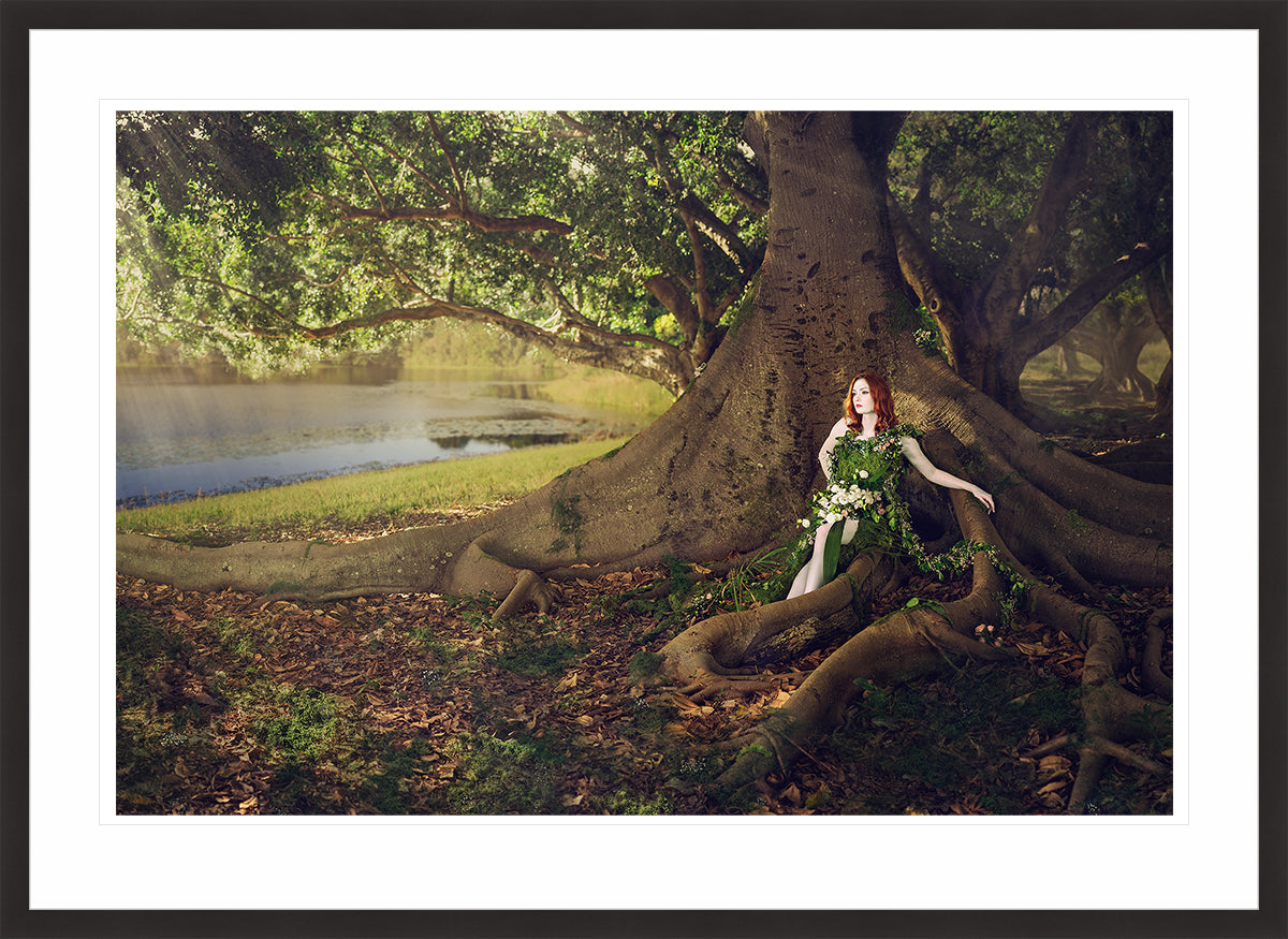 Woodland Watchers - Hollow