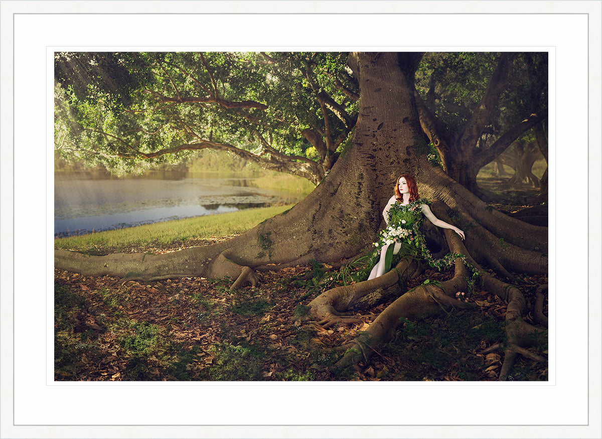 Woodland Watchers - Hollow