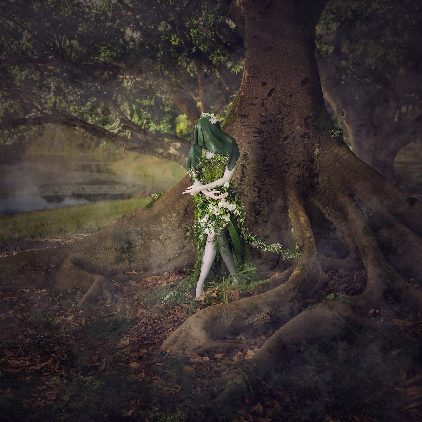 Woodland Watchers - Emergence