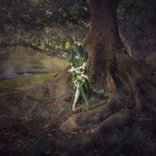 Woodland Watchers - Emergence