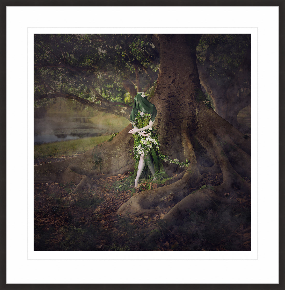 Woodland Watchers - Emergence
